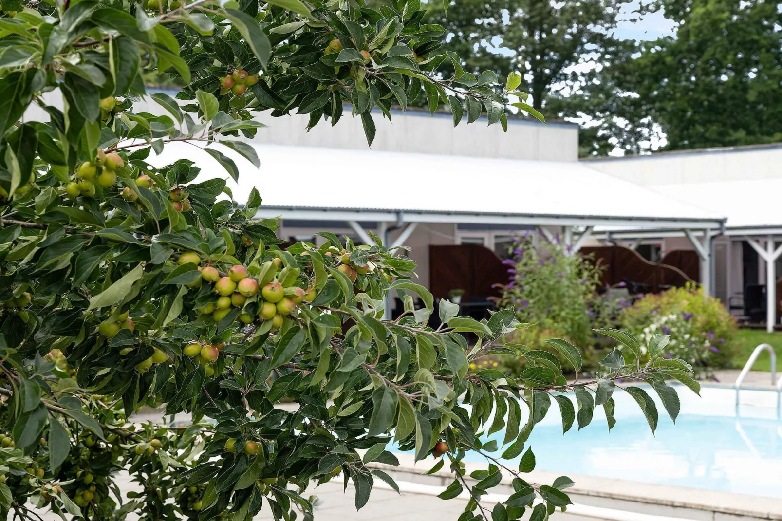 5 sterren vakantie huis in Nexø-Buitenlucht