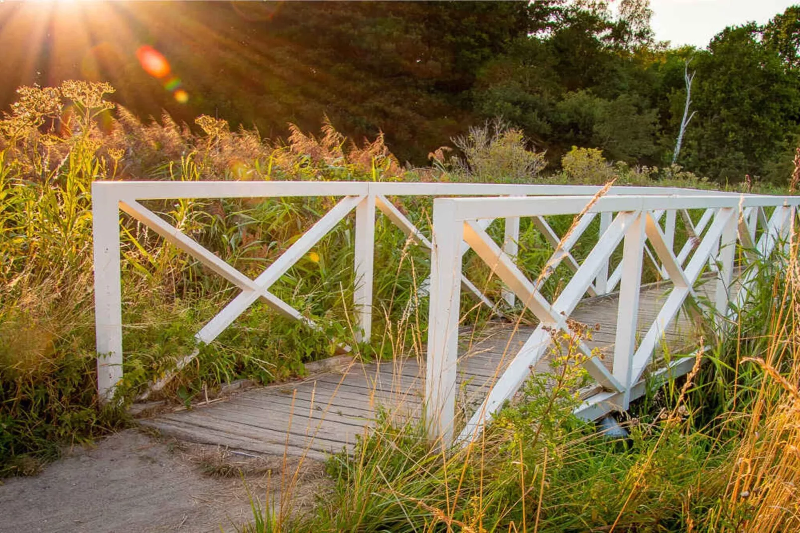 5 sterren vakantie huis in Store Fuglede-Buitenlucht