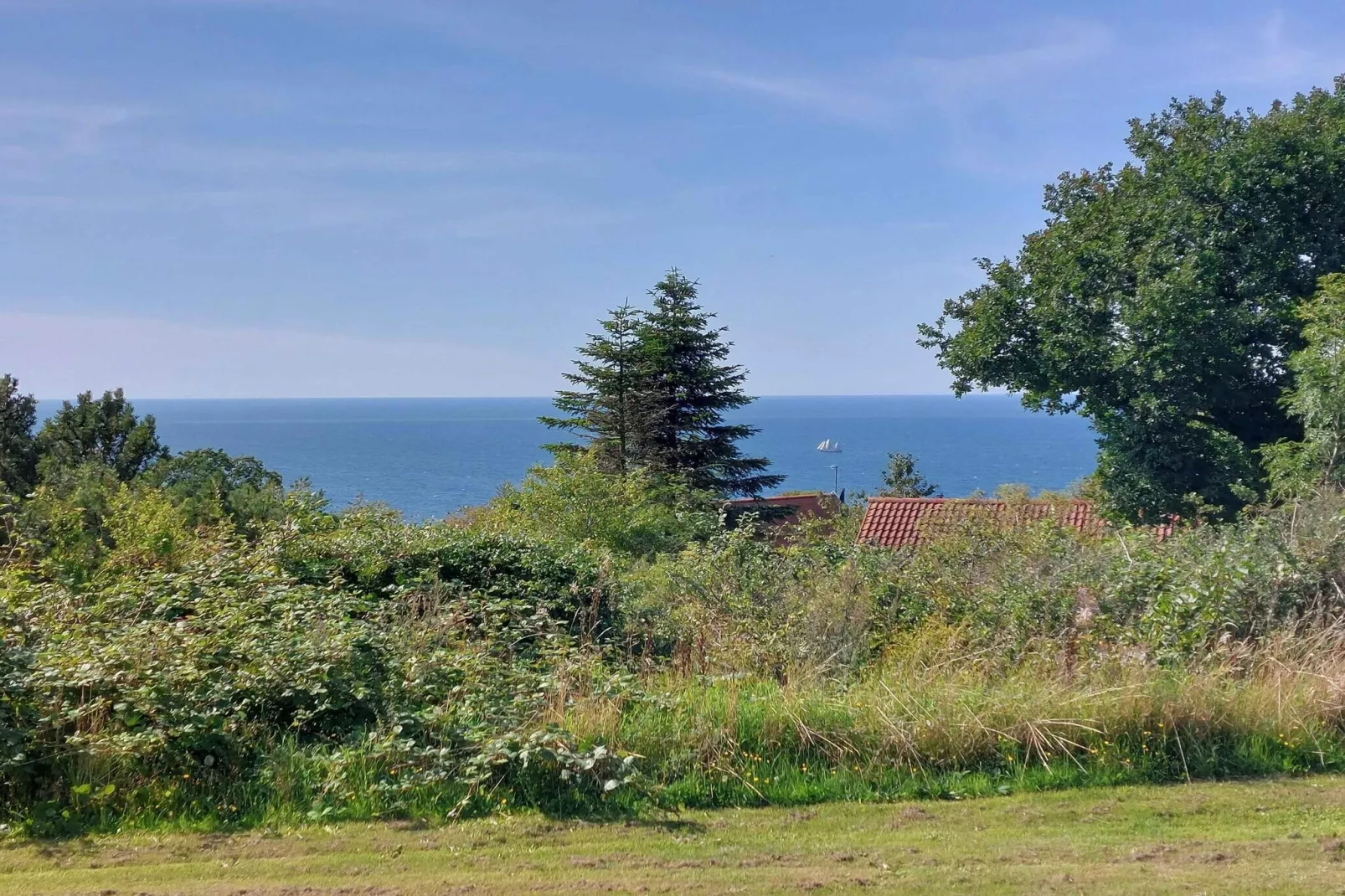 5 sterren vakantie huis in Hasle-Waterzicht