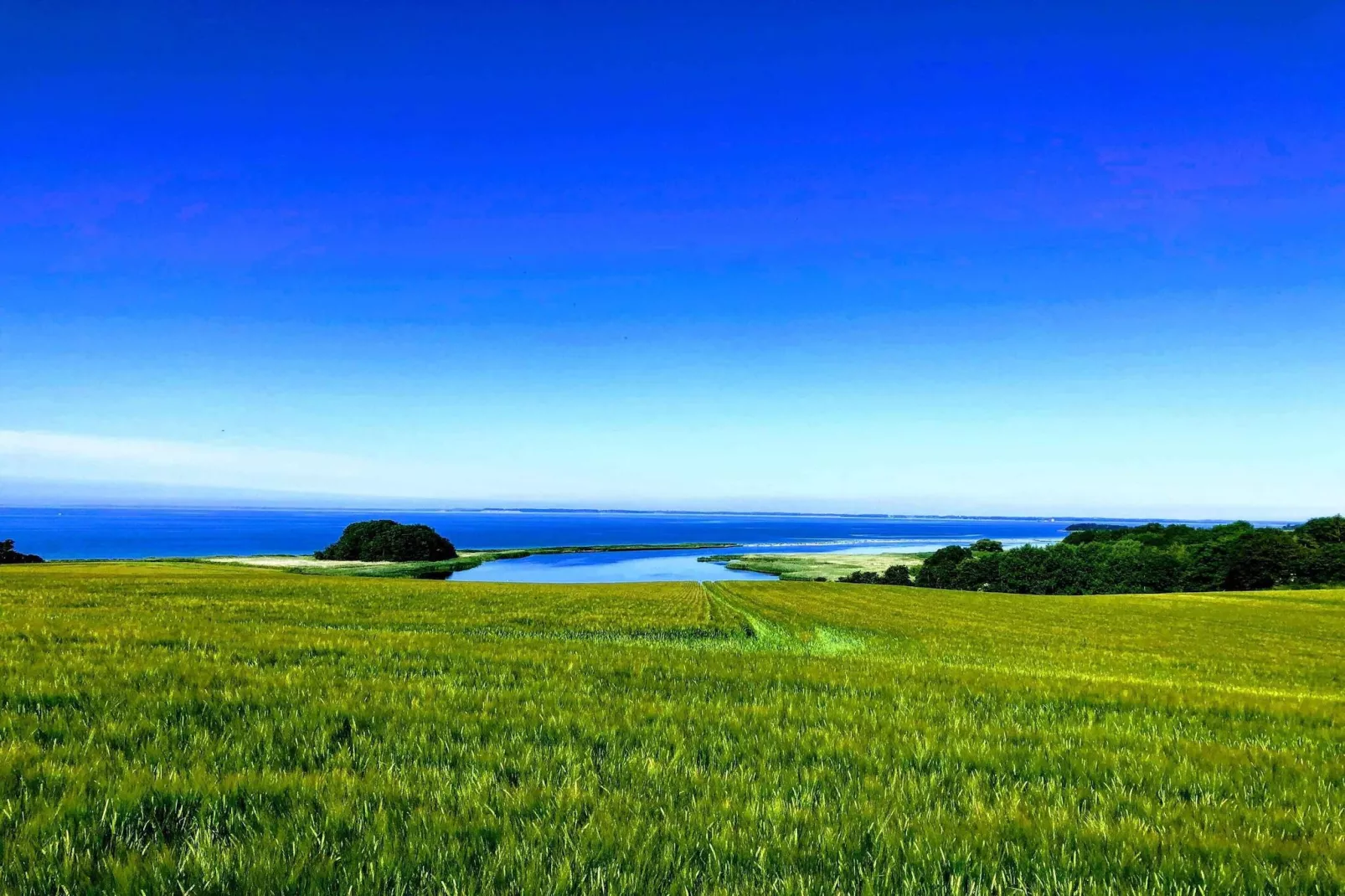 5 sterren vakantie huis in Assens-Buitenlucht