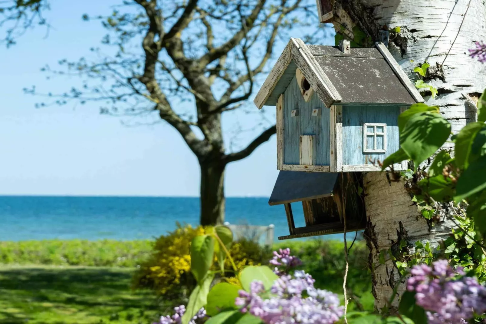 5 sterren vakantie huis in Tranekær-Buitenlucht