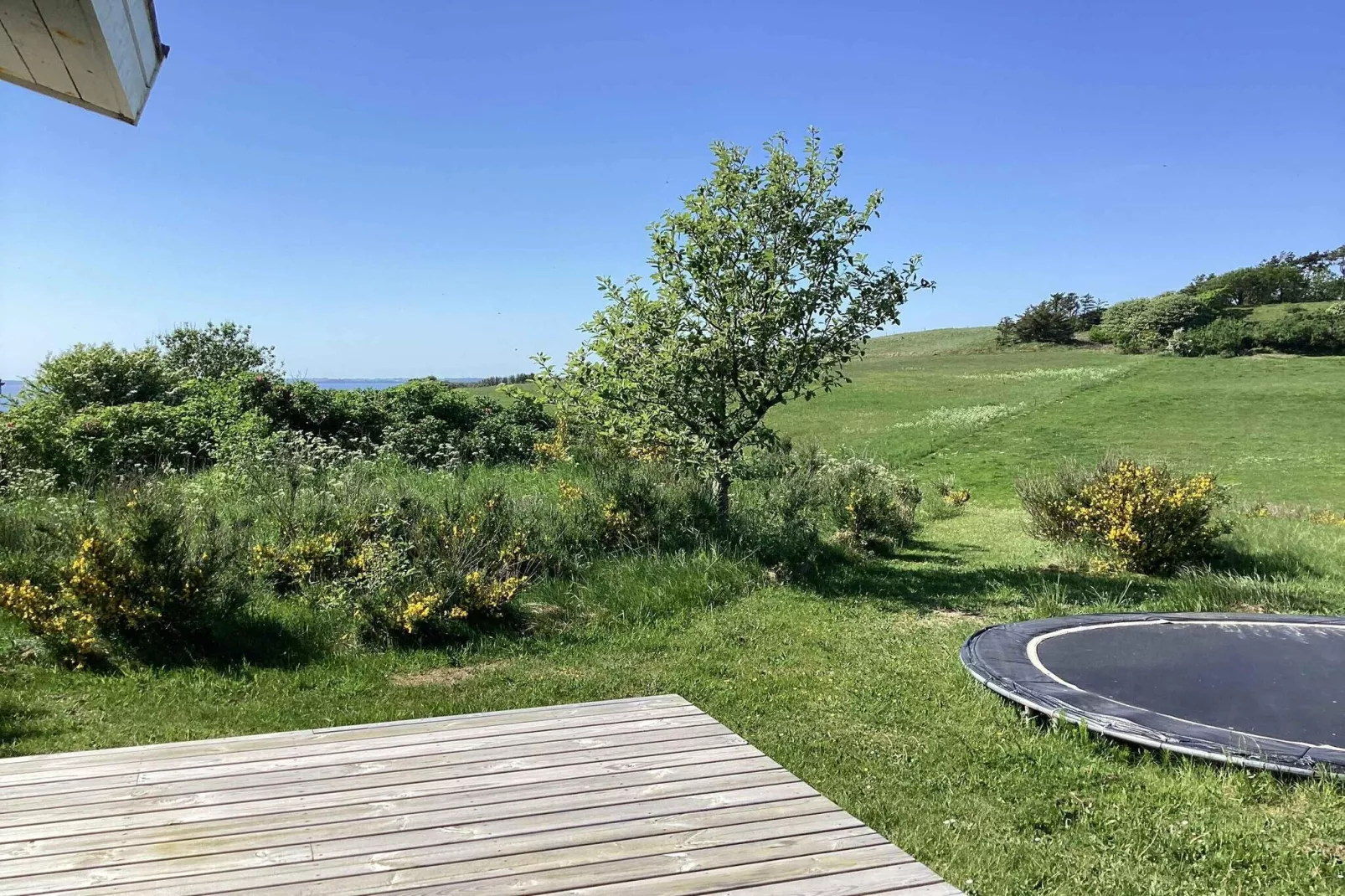 5 sterren vakantie huis in Spøttrup-Buitenlucht