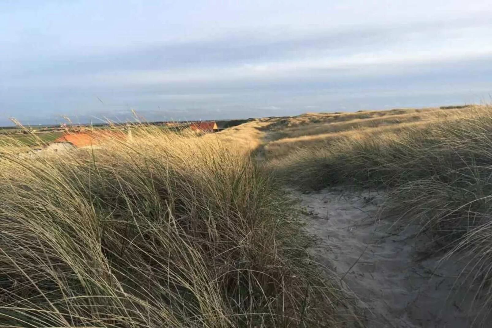 5 sterren vakantie huis in Harboøre-Buitenlucht