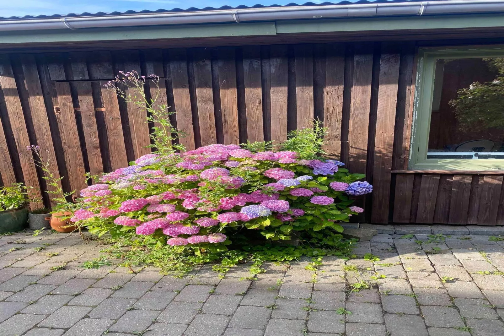 5 sterren vakantie huis in Fårevejle-Buitenlucht