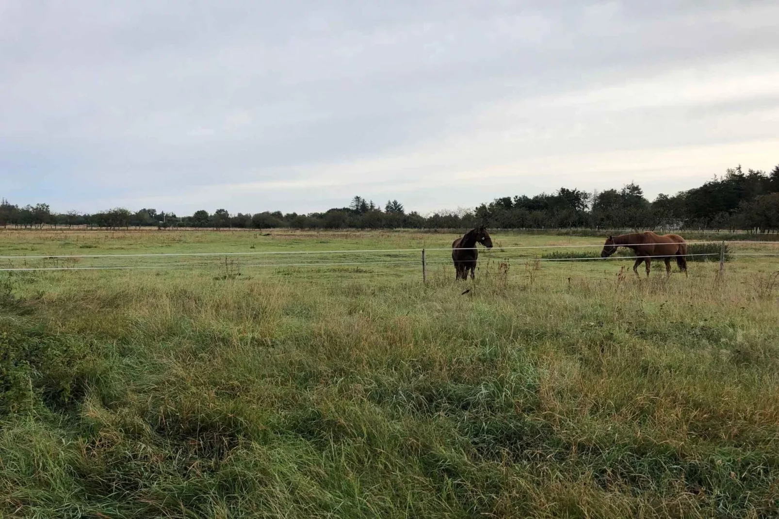 4 sterren vakantie huis in Hadsund-Buitenlucht