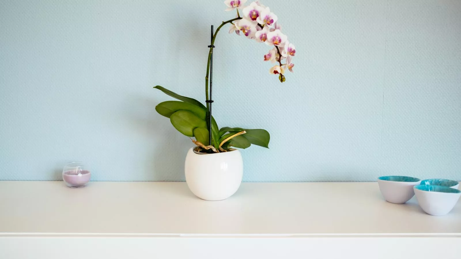 La Plage cinq-Keuken