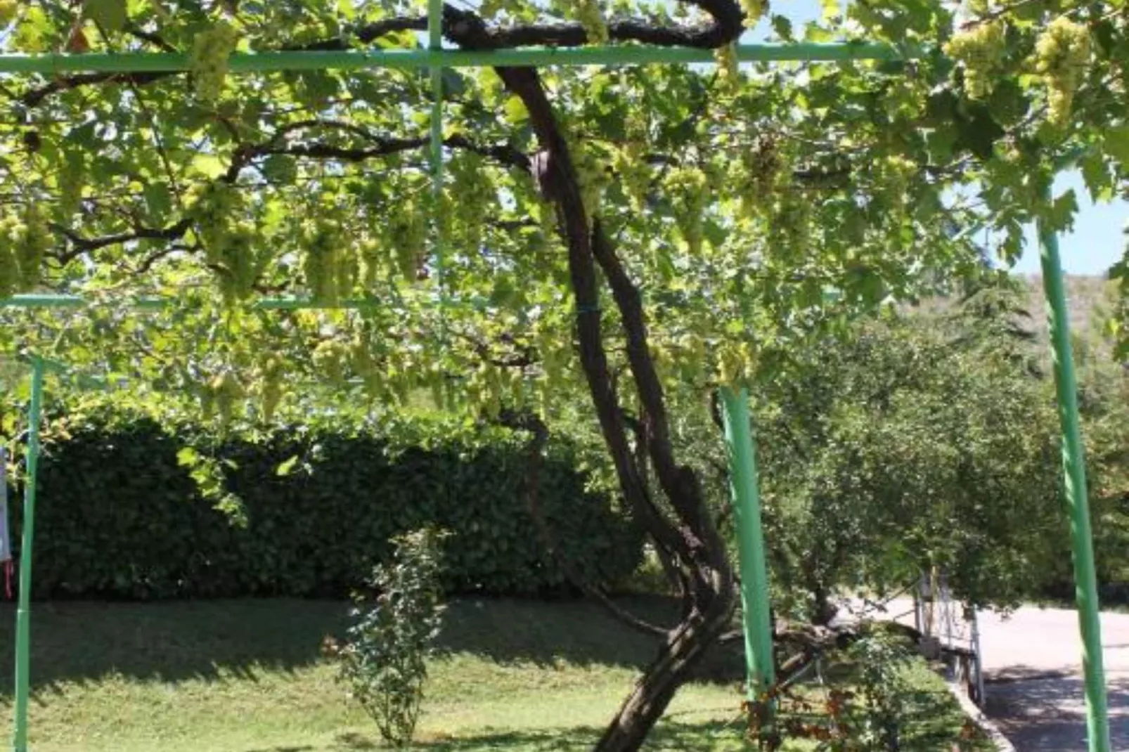 Elez Serenity Guesthouse - Triple room with Balcony-Buitenlucht