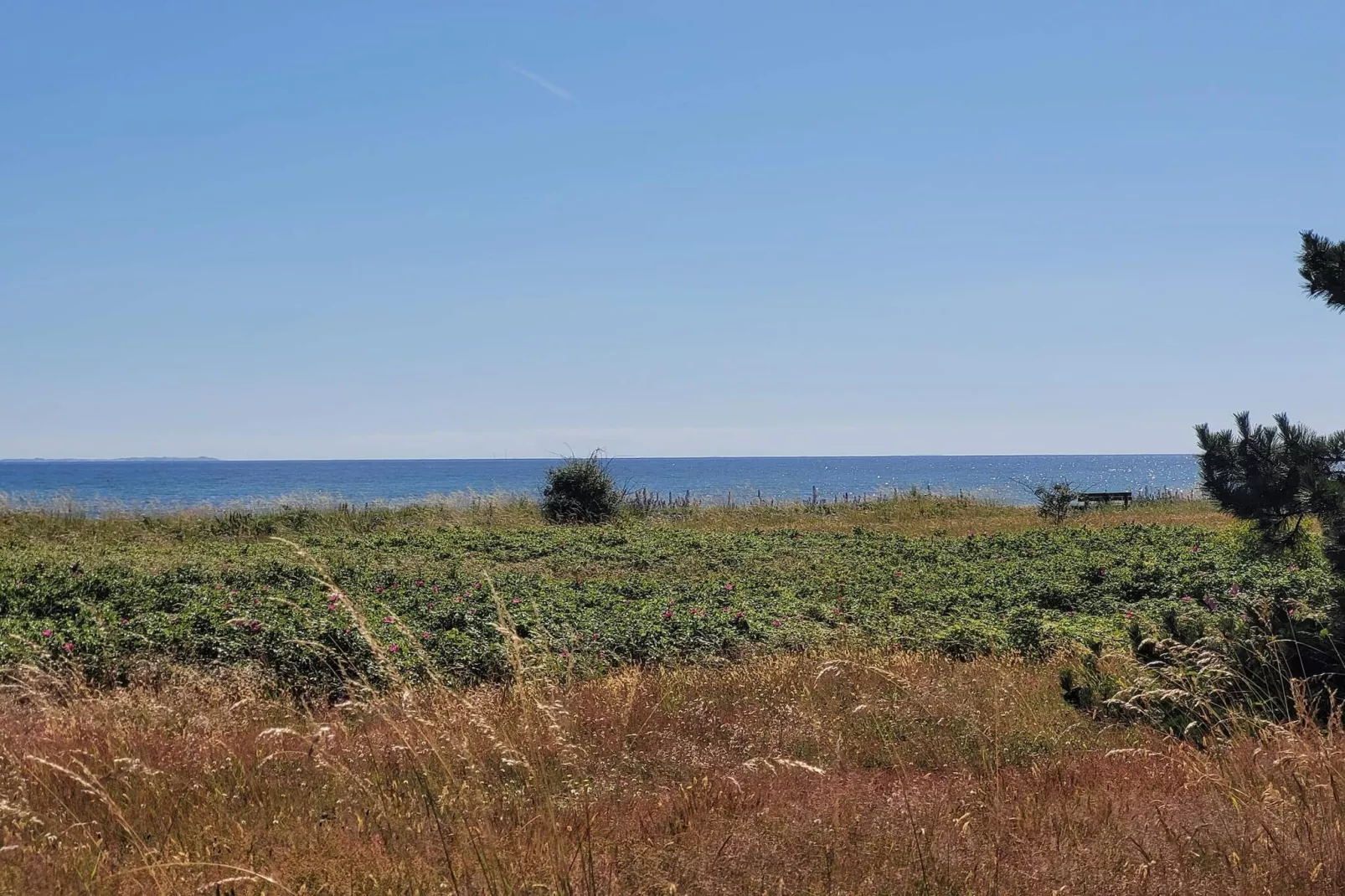 6 persoons vakantie huis in Højby-Niet-getagd