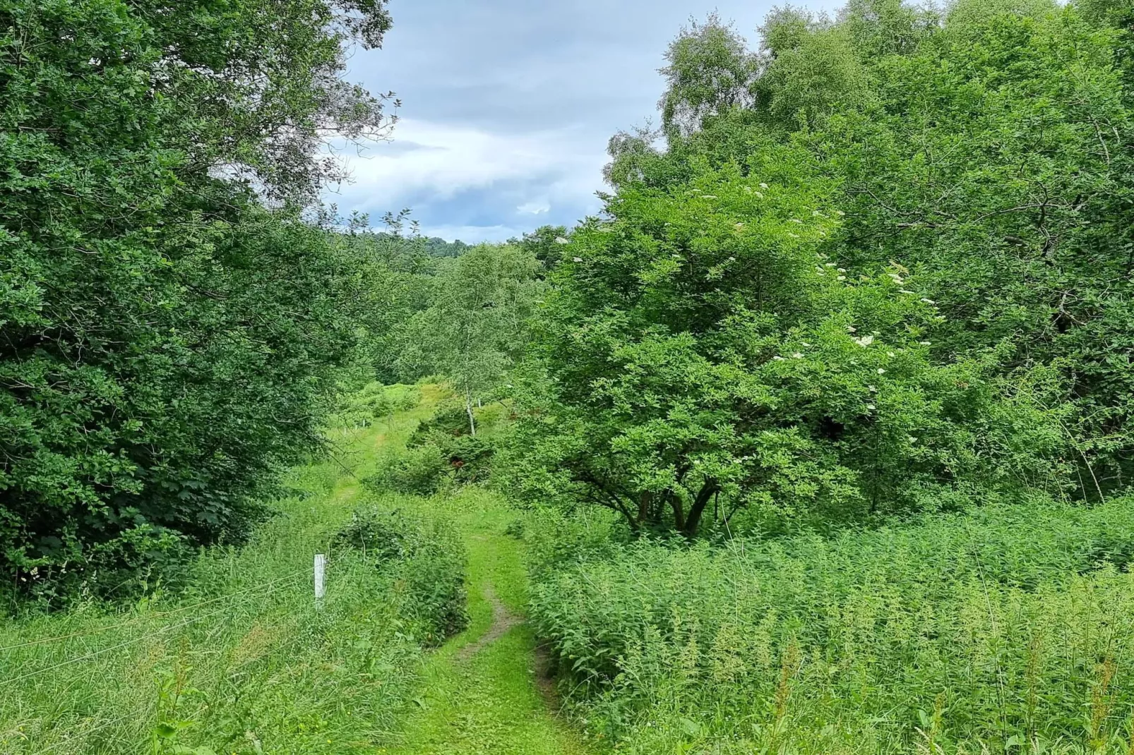 8 persoons vakantie huis in Gjern-Niet-getagd