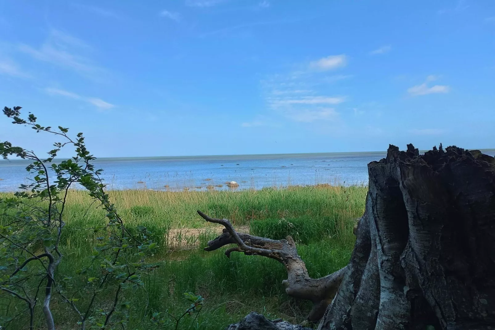 Kustcharme in Boged-By Traum-Waterzicht