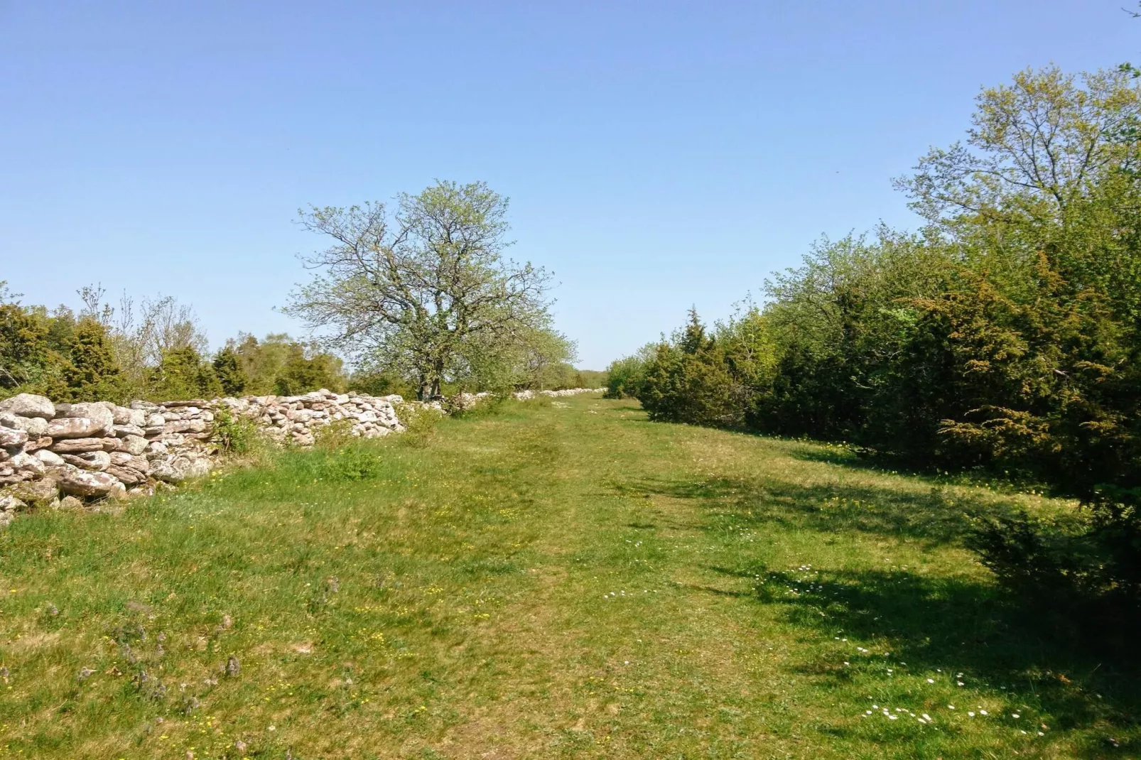 10 persoons vakantie huis in FÄRJESTADEN-Niet-getagd