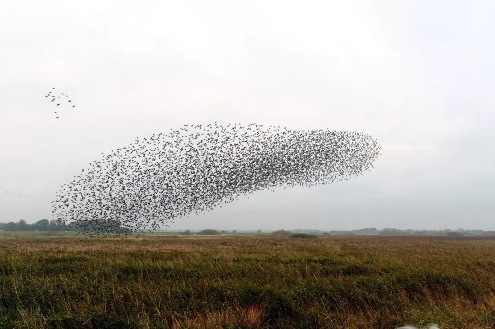 10 persoons vakantie huis in Højer-Niet-getagd