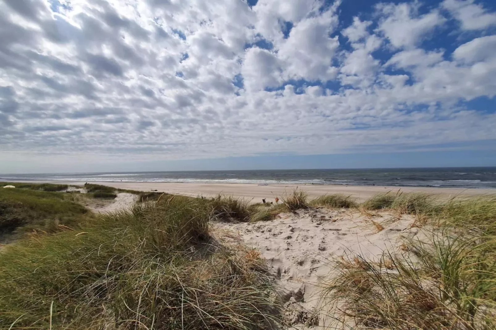 8 persoons vakantie huis in Nørre Nebel-Waterzicht