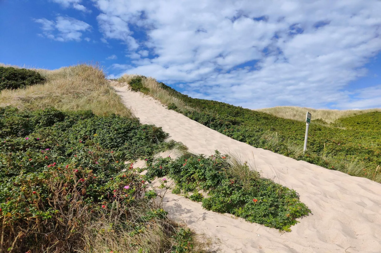 6 persoons vakantie huis in Ringkøbing-Niet-getagd