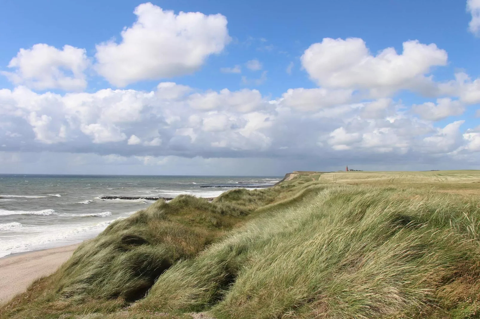 8 persoons vakantie huis in Ringkøbing-Waterzicht
