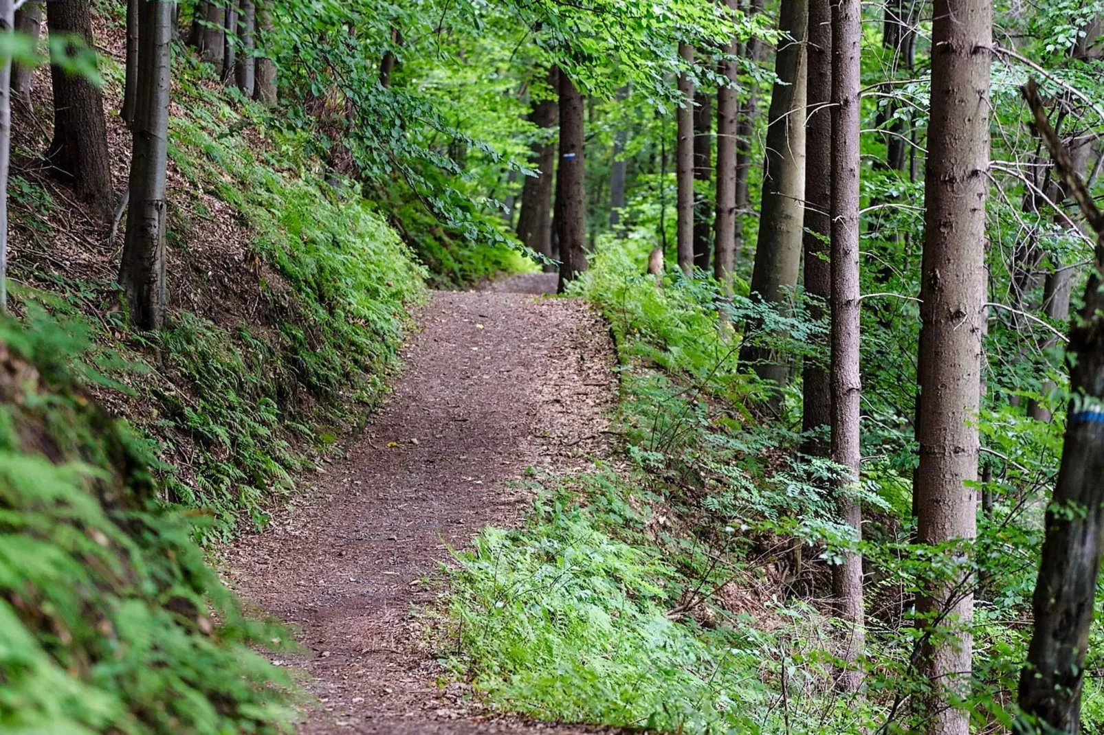 Vakantiehuis aan zee bij Gullmarsfjord-Niet-getagd