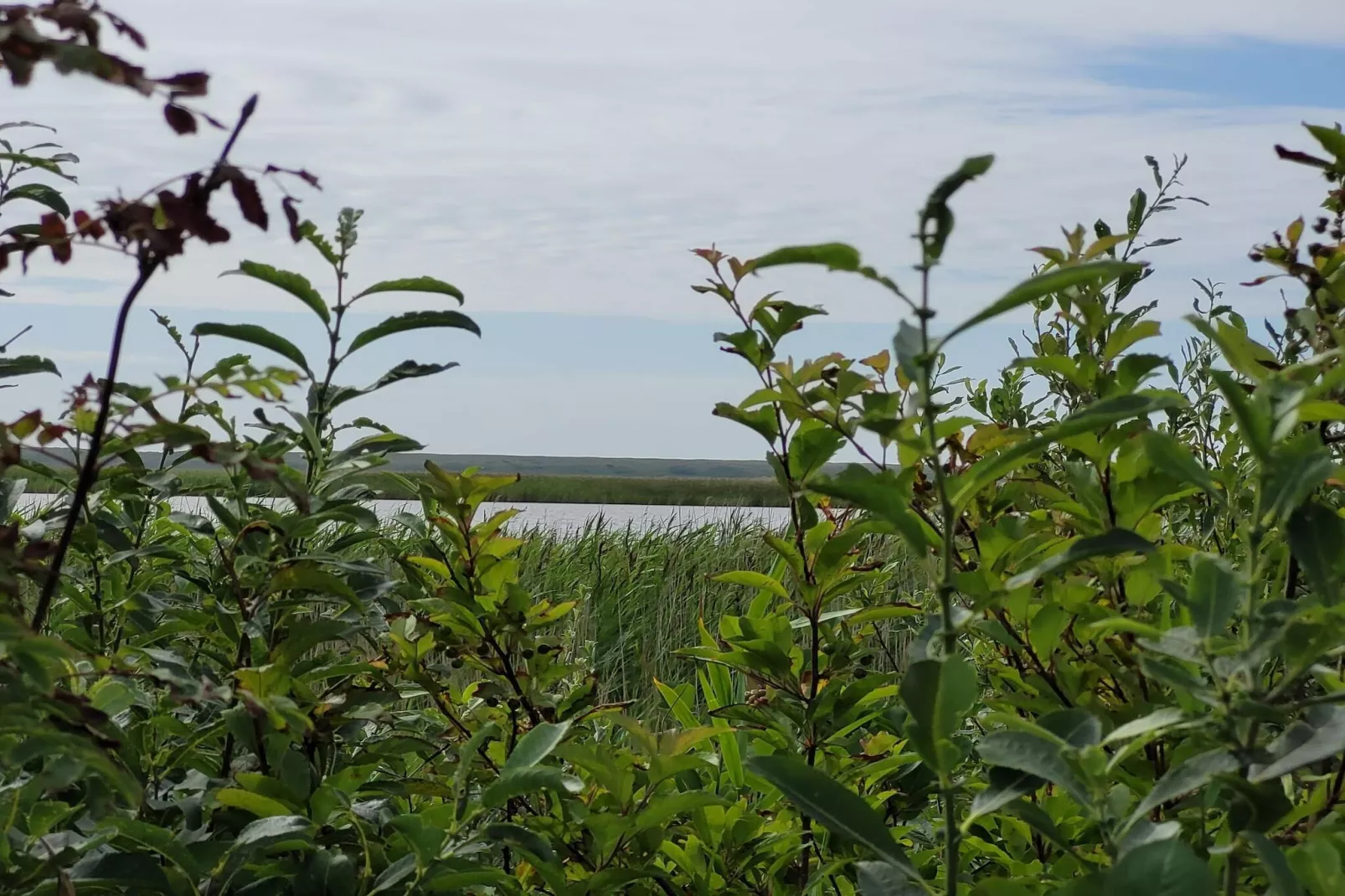 6 persoons vakantie huis in Ulfborg-Waterzicht