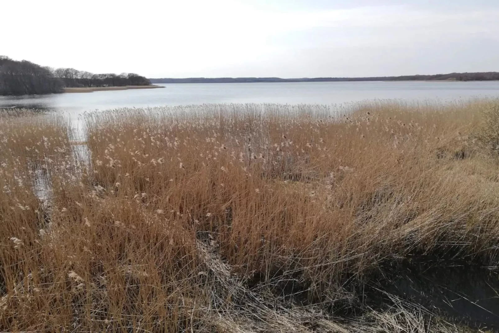 8 persoons vakantie huis in Ebeltoft-Waterzicht