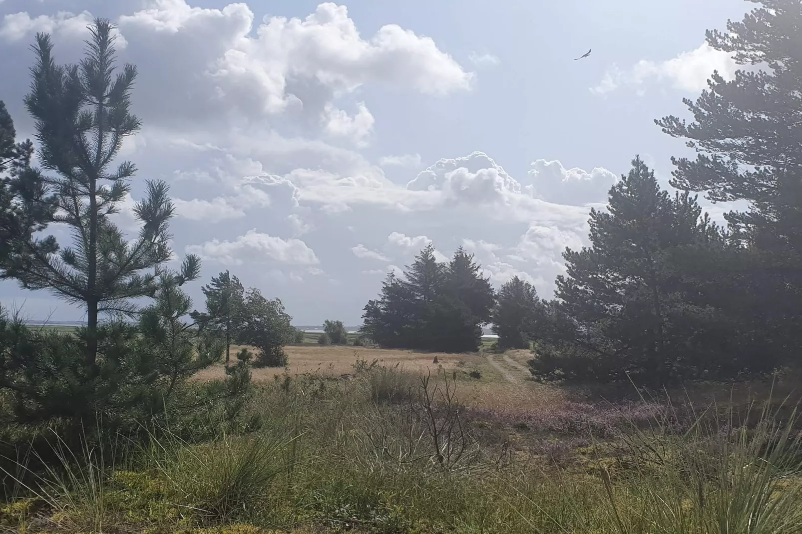 4 persoons vakantie huis in Oksbøl-Niet-getagd