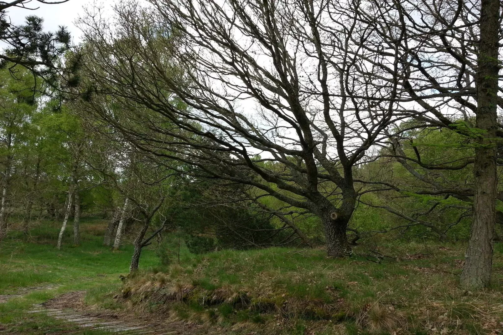 6 persoons vakantie huis in Ebeltoft-Niet-getagd