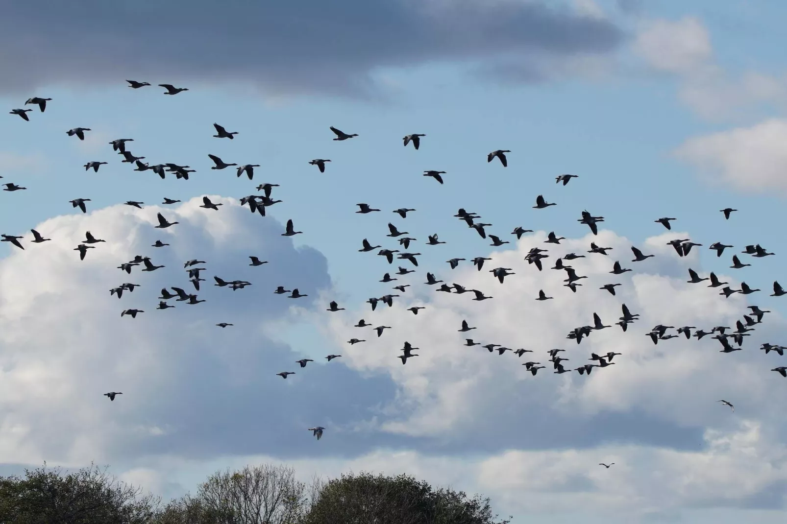8 persoons vakantie huis in Ebeltoft-Niet-getagd