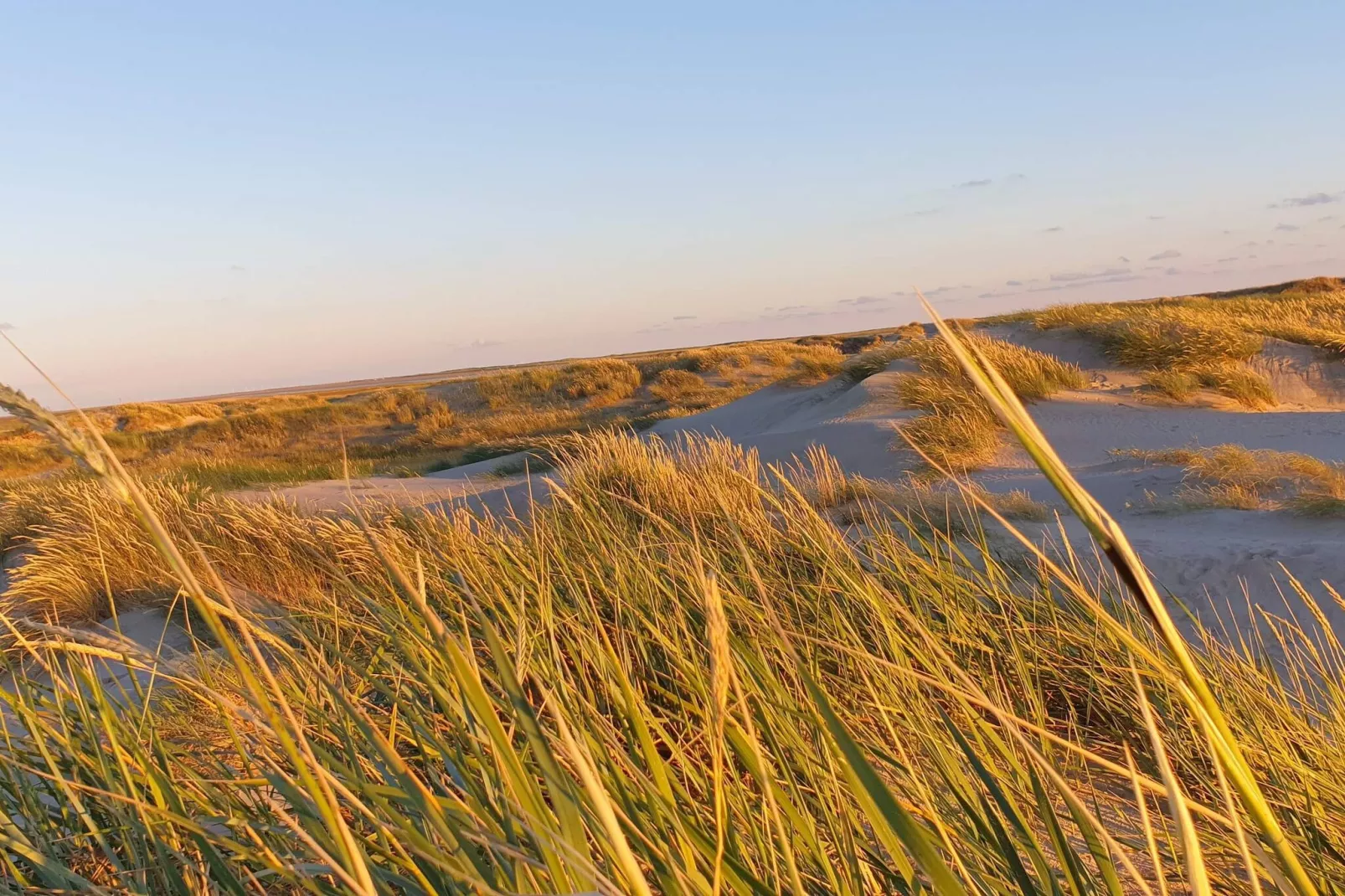 12 persoons vakantie huis in Rømø-Niet-getagd