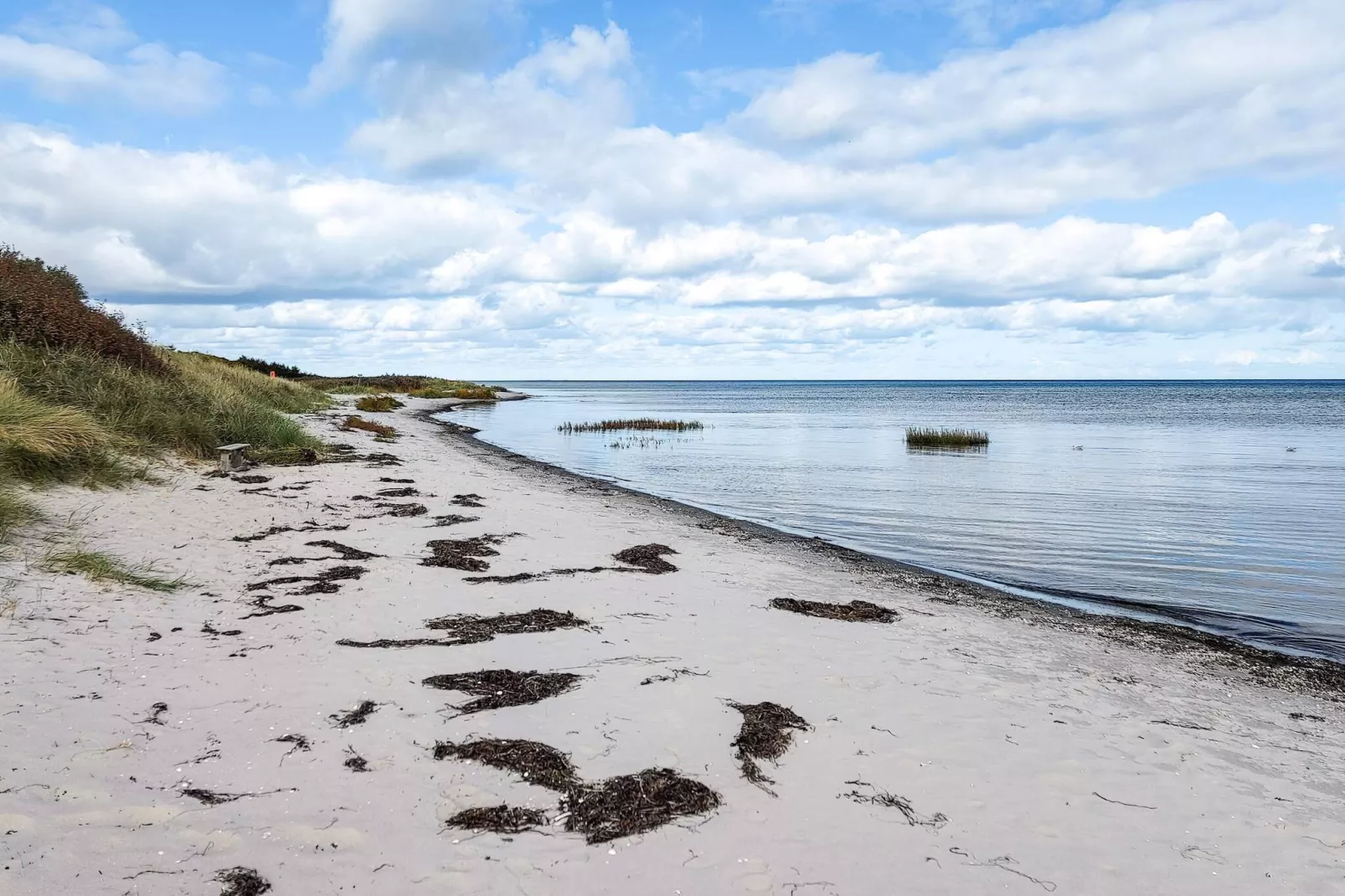 8 persoons vakantie huis in Væggerløse-Waterzicht
