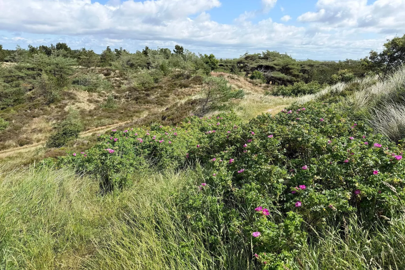 5 persoons vakantie huis in Rømø