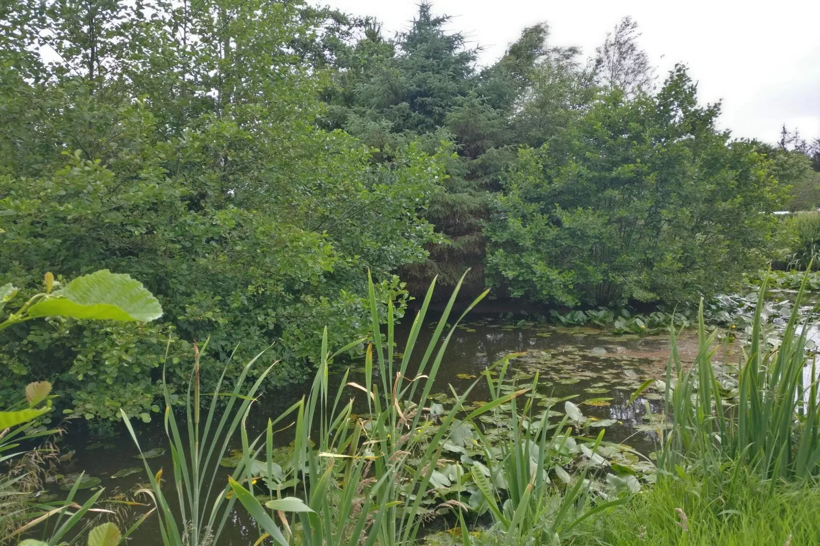 6 persoons vakantie huis in Nørre Nebel-Niet-getagd