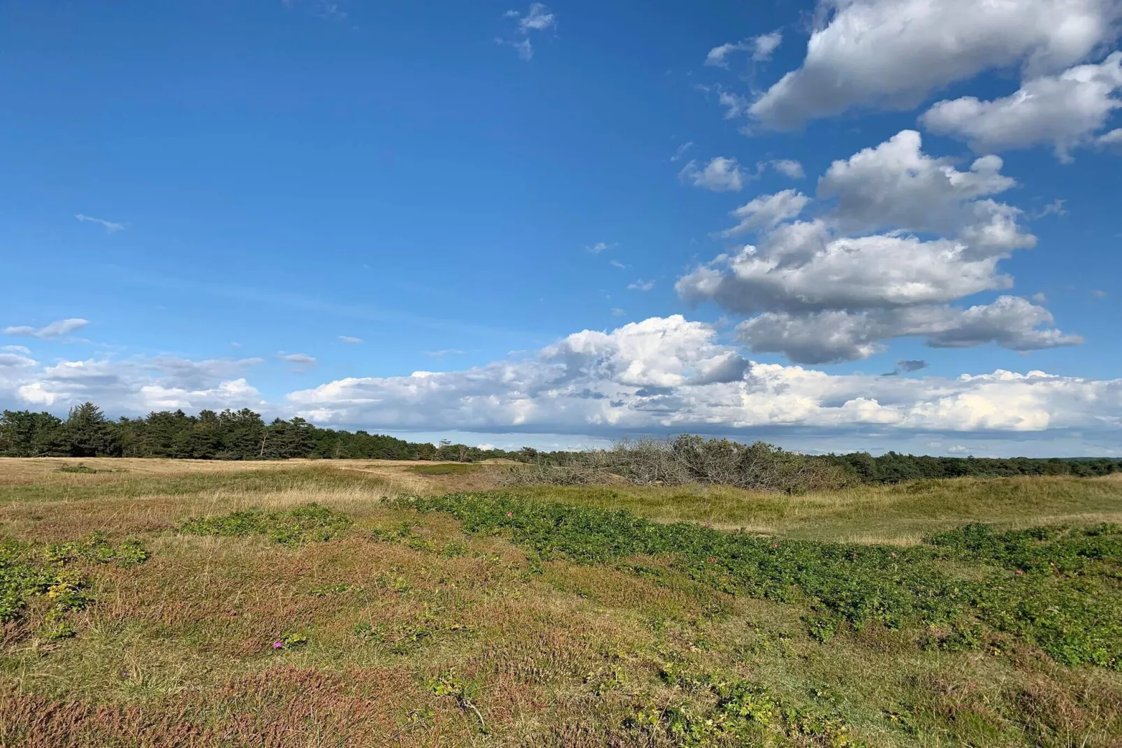 14 persoons vakantie huis in Vejby-Niet-getagd