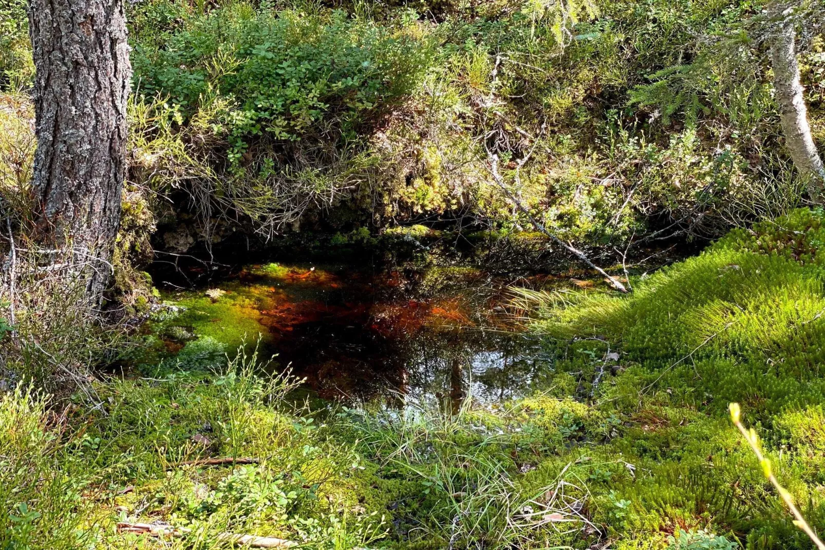 6 persoons vakantie huis in KOPPARBERG-By Traum-Waterzicht