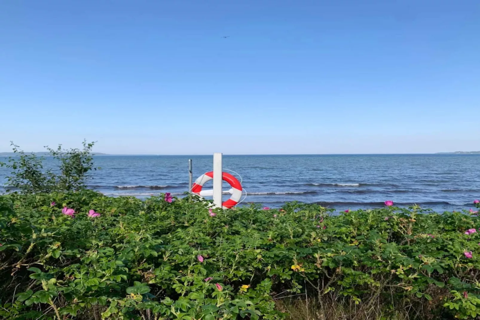 Afgelegen oase in Hvidbjerg -- By Traum Ferienwohnungen-Waterzicht