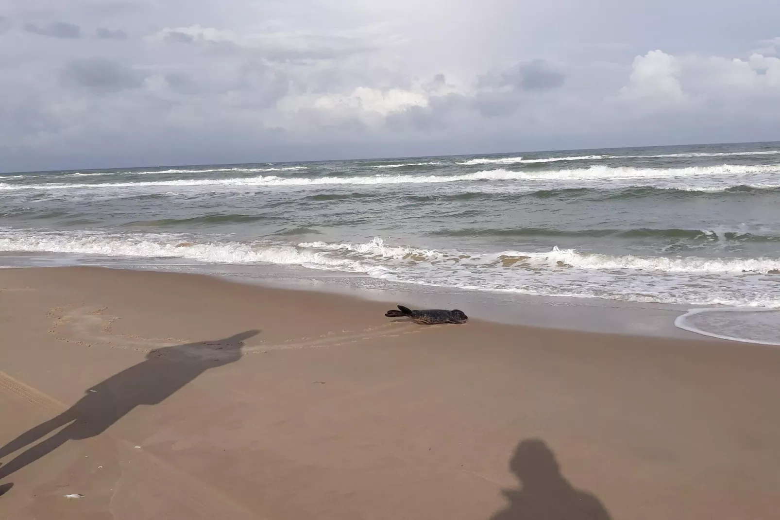 7 persoons vakantie huis in Hjørring-By Traum-Waterzicht