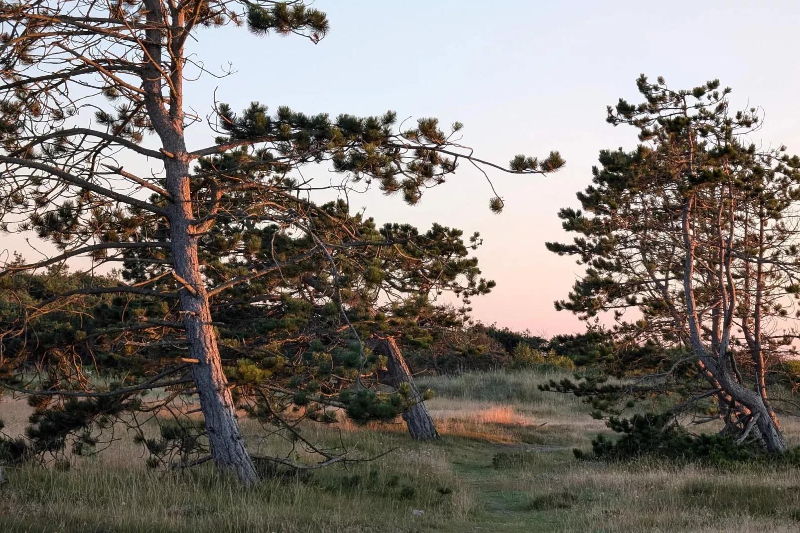 8 persoons vakantie huis in Melby-By Traum-Niet-getagd