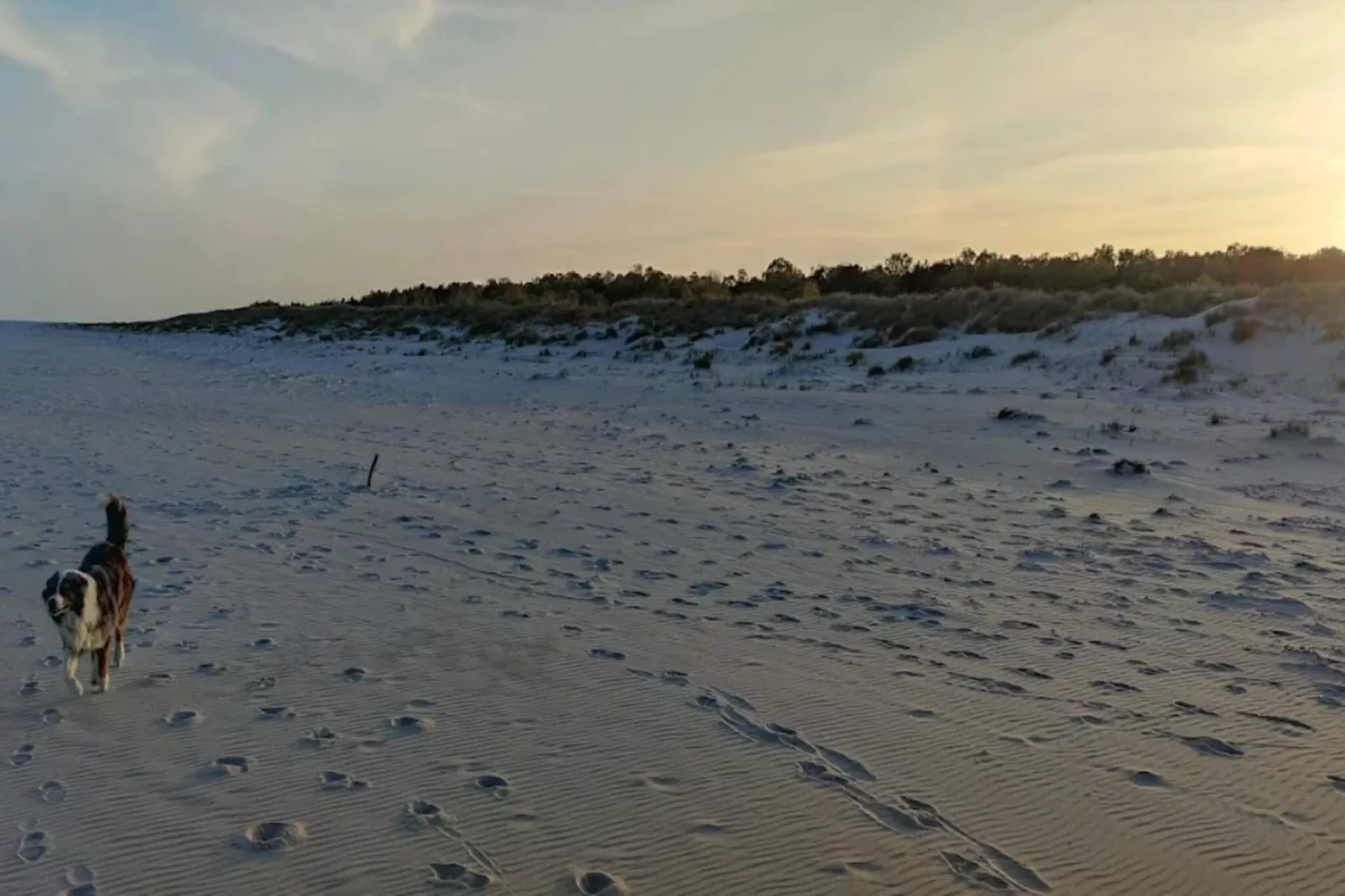 6 persoons vakantie huis in Löderup-By Traum-Niet-getagd