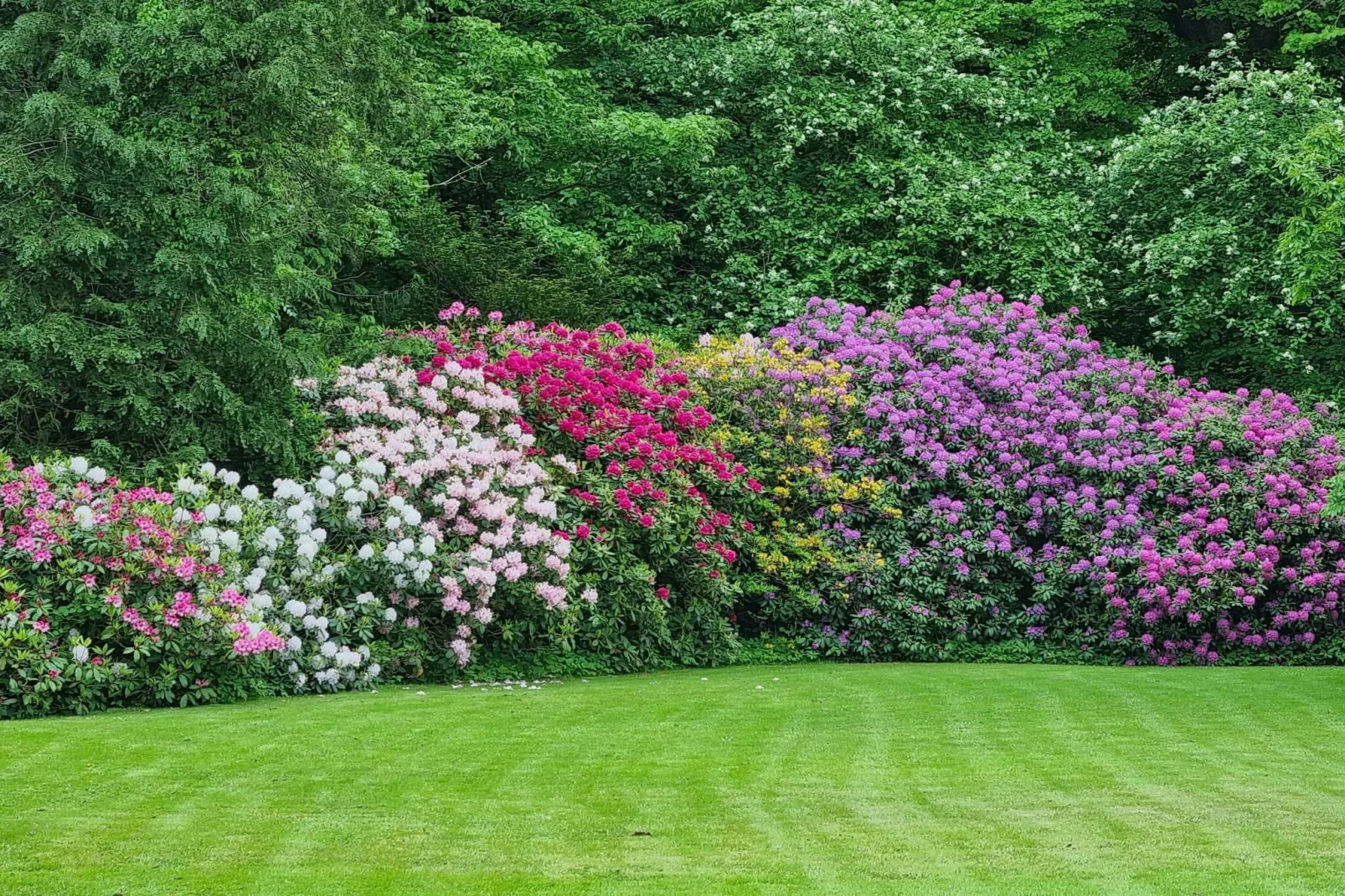 5 persoons vakantie huis in Højer-By Traum-Niet-getagd