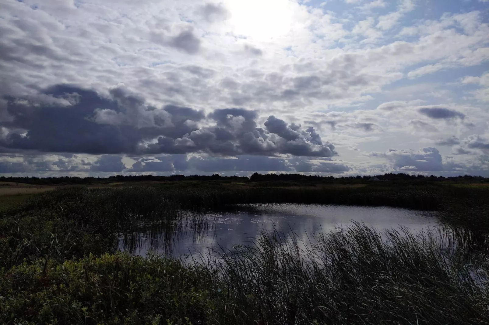 Licht zomerhuis nabij zee -- By Traum Ferienwohnungen