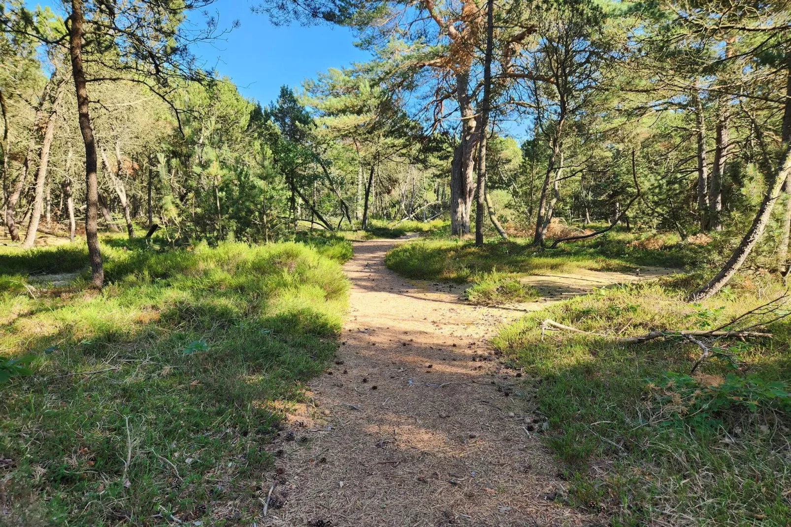 10 persoons vakantie huis in Hadsund-By Traum-Niet-getagd