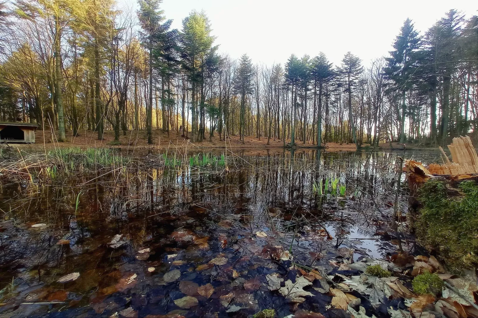 8 persoons vakantie huis in Vestervig-By Traum