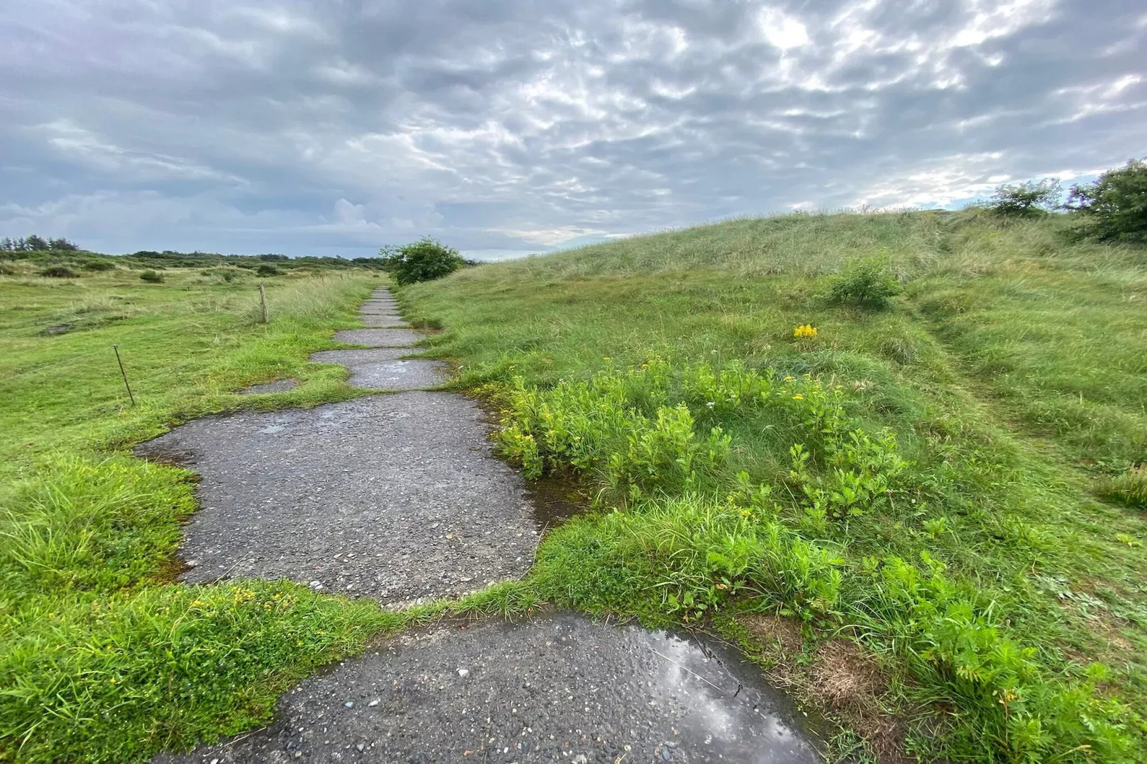 10 persoons vakantie huis in Skjern-By Traum-Niet-getagd