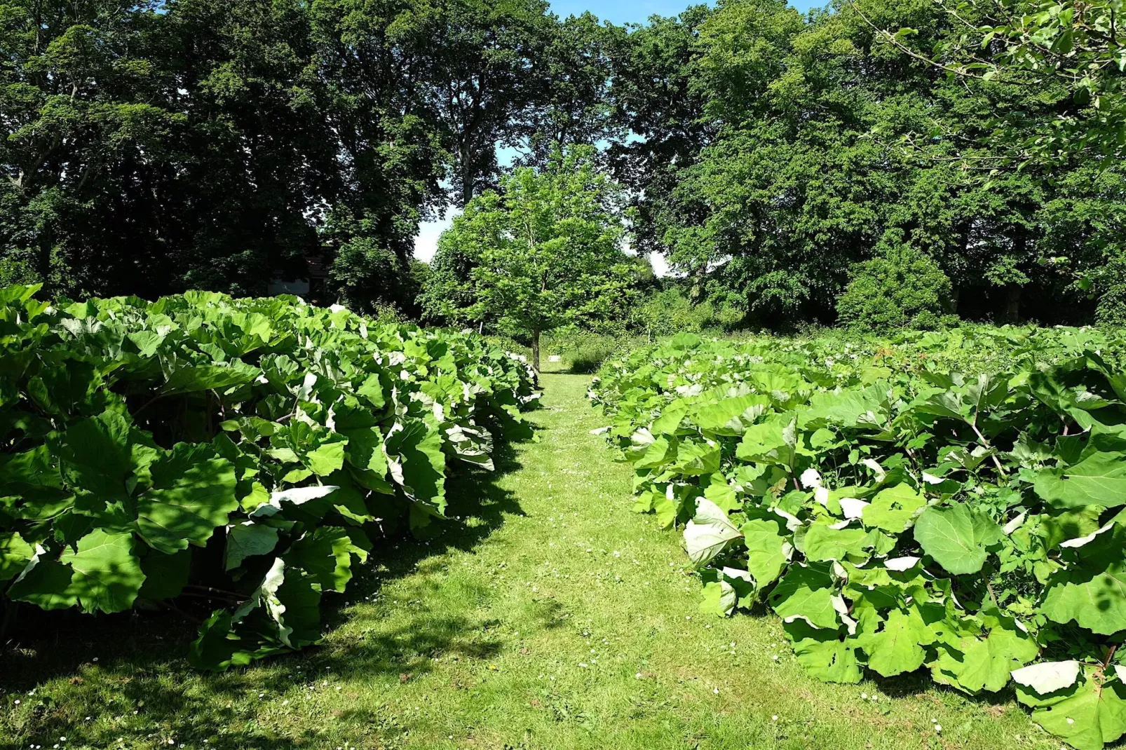 6 persoons vakantie huis in Højslev-By Traum-Niet-getagd