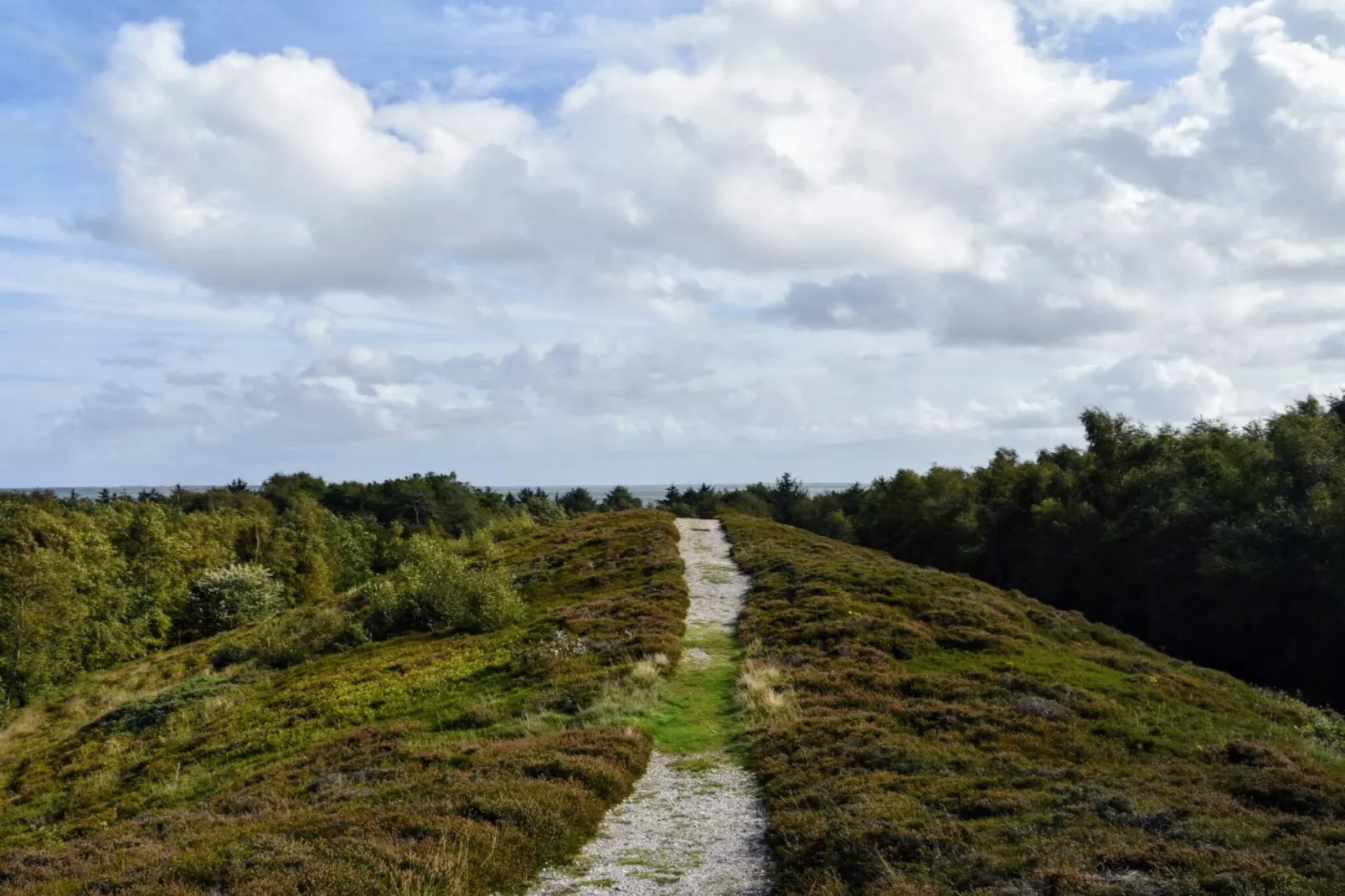 8 persoons vakantie huis in Thyholm-By Traum-Niet-getagd