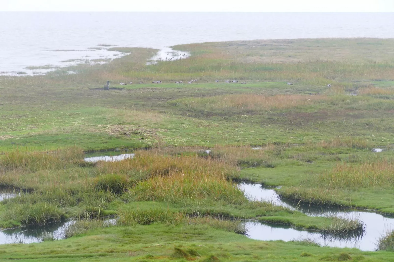 Kustparadijs in Vadehavet -- By Traum Ferienwohnungen-Waterzicht