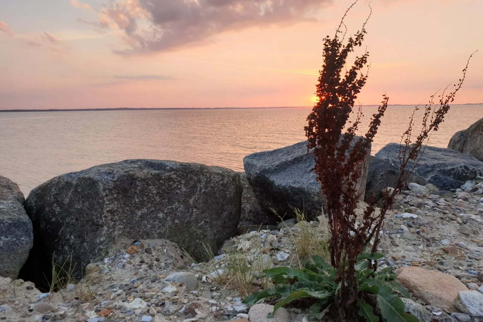 4 persoons vakantie huis in Vinderup-By Traum-Waterzicht