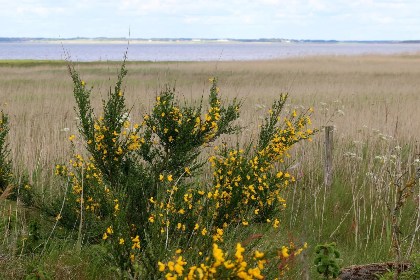 6 persoons vakantie huis in Henne-By Traum-Niet-getagd