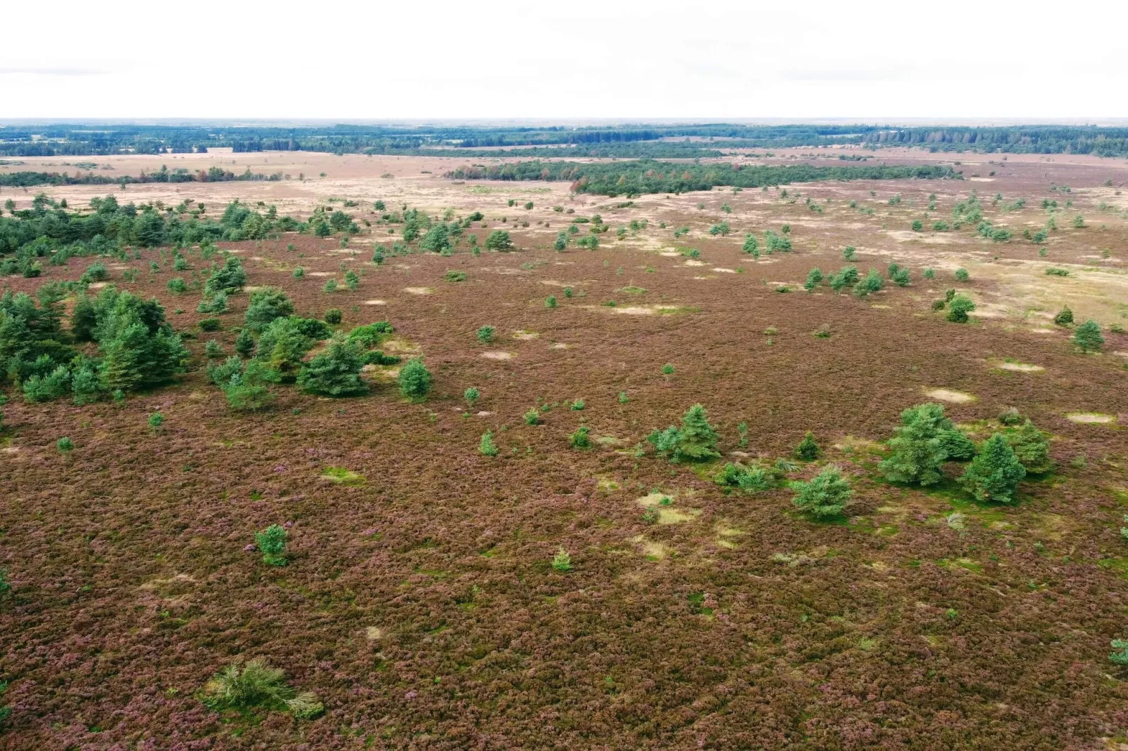 6 persoons vakantie huis in Hovborg-By Traum-Niet-getagd