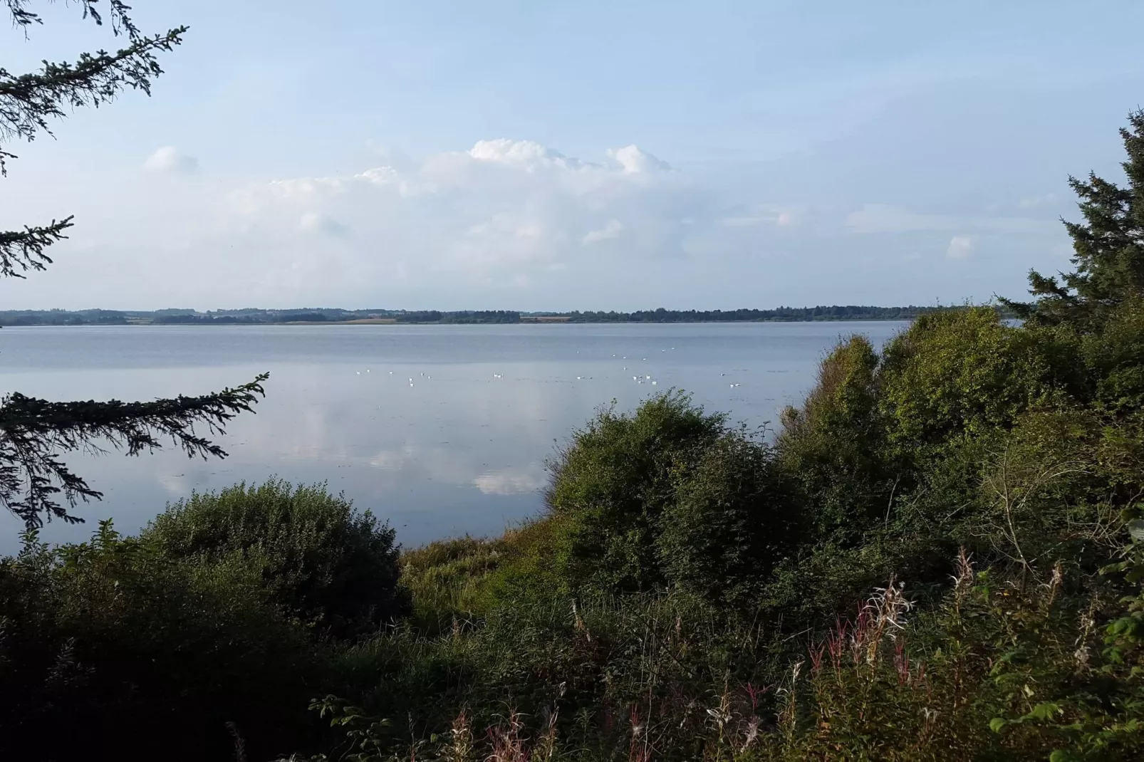 8 persoons vakantie huis in Skals-Waterzicht