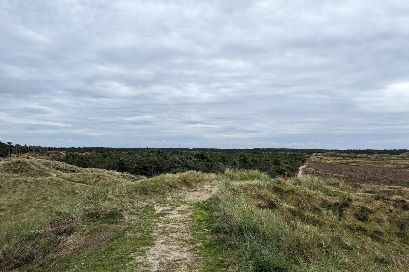 6 persoons vakantie huis in Rømø-By Traum-Niet-getagd