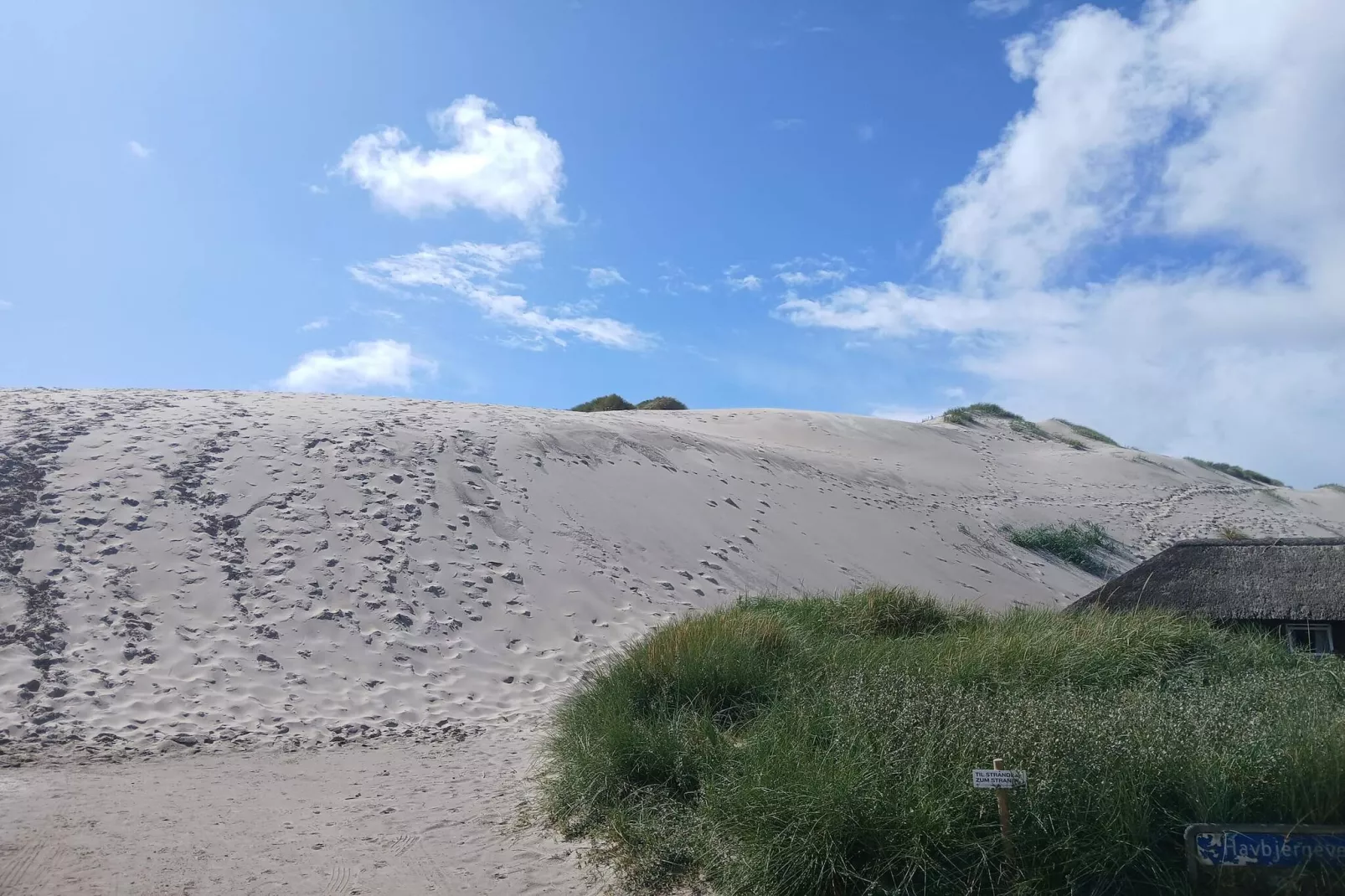 Gezellig strandhuis -- By Traum Ferienwohnungen-Niet-getagd