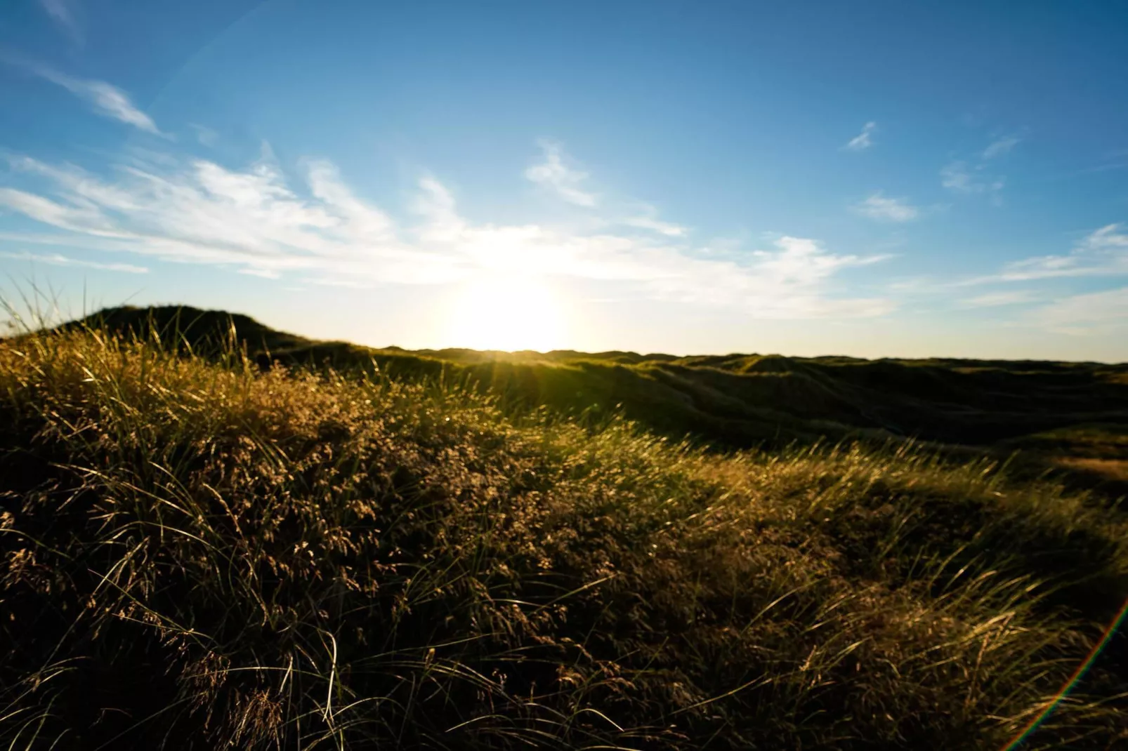 8 persoons vakantie huis in Vejers Strand-By Traum-Niet-getagd